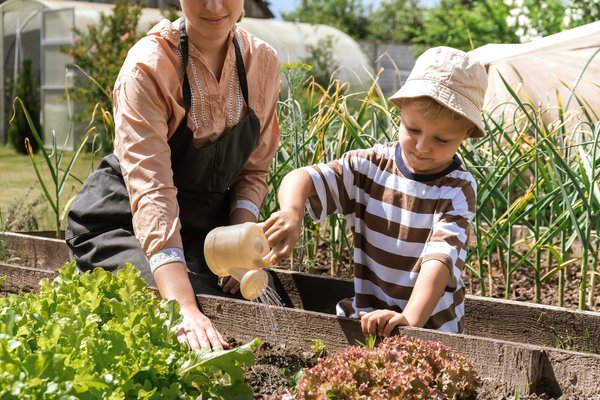 How to Cultivate a Community Garden for Food Security and Social Well-being?
